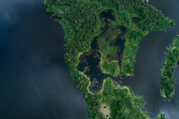 L'art de la cuisine : Éveillez vos sens et votre créativité