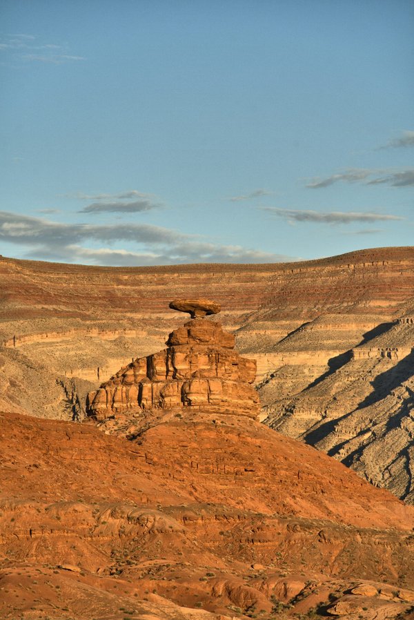 La formation médicale comme réponse aux pénuries de professionnels de santé