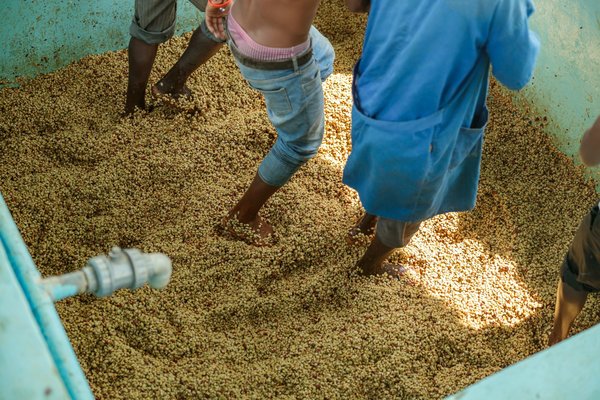 L'écologie dans la mode: la tendance du recyclage