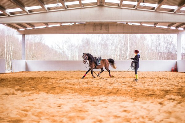 Stratégies pour réduire les inégalités sociales en entreprise